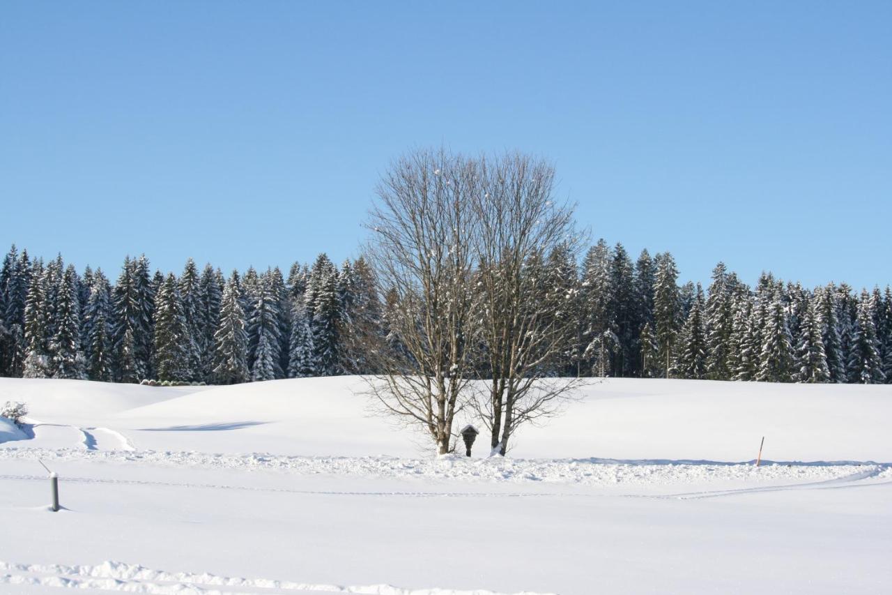 Appartamento Haus Allgaeu Ruh Görisried Esterno foto