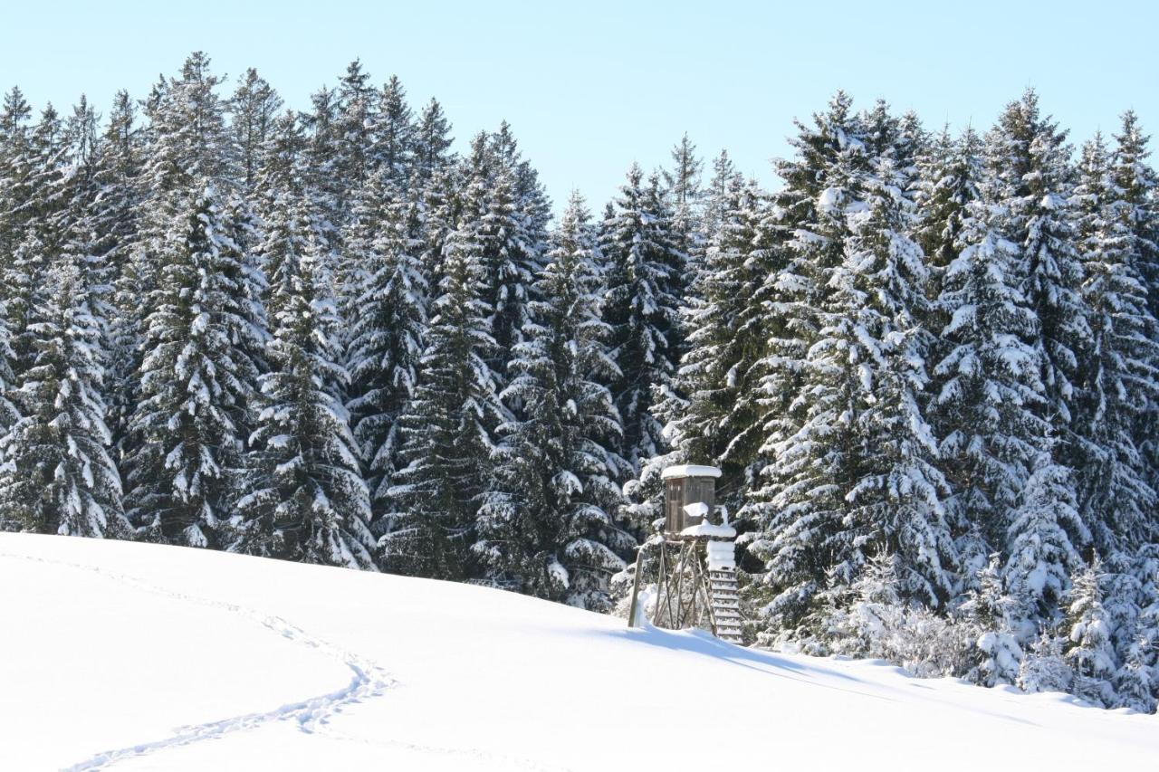 Appartamento Haus Allgaeu Ruh Görisried Esterno foto