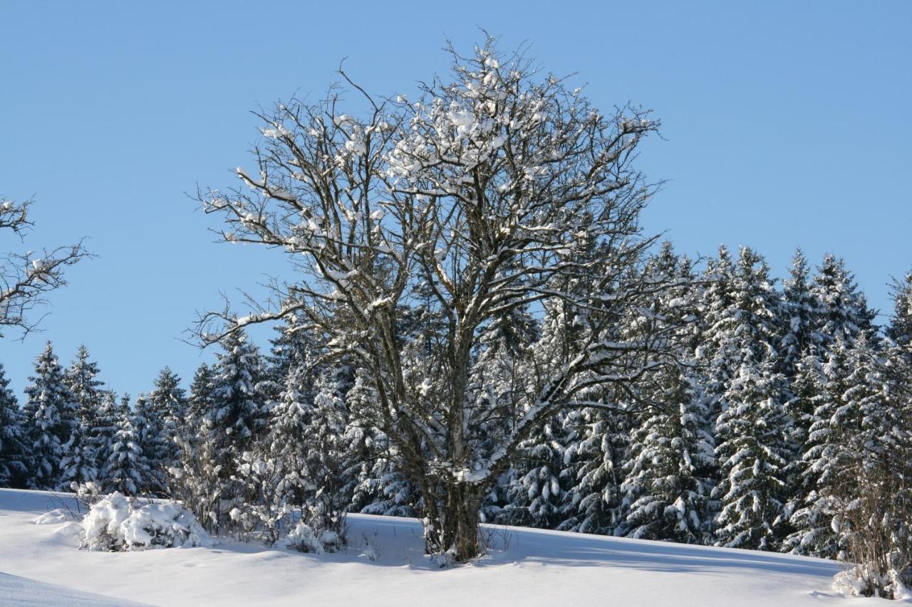 Appartamento Haus Allgaeu Ruh Görisried Esterno foto
