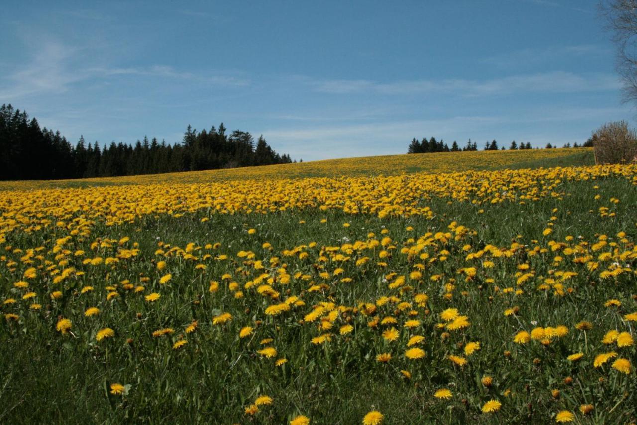 Appartamento Haus Allgaeu Ruh Görisried Esterno foto